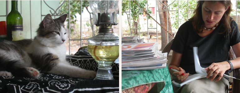 Sizzla reclines with other necessities of Pond home life -- a kerosene lantern, a candleholder and a bottle of bug spray... Amy looks over her kids' writing books during a lunch break
