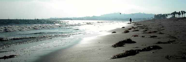 a beach scene in Santa Barbara