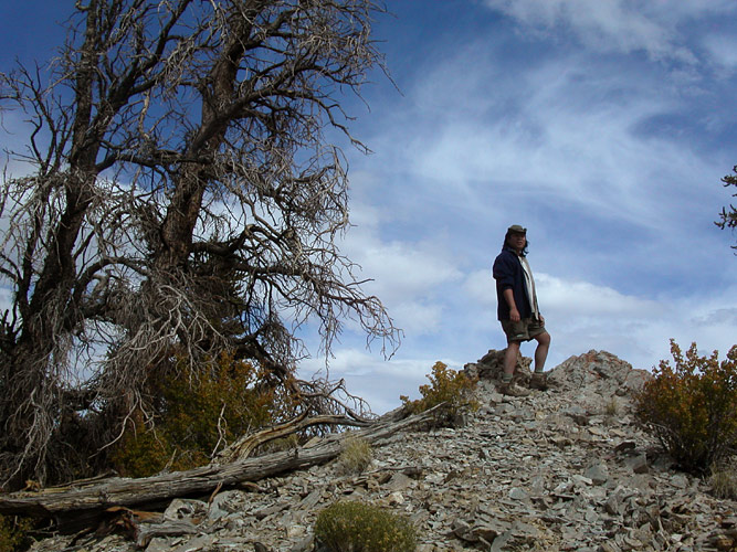 Gerry stands near a mostly-dead (but in part, still vital) bristlecone pine in the Methuselah Grove.
