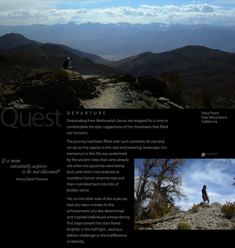 Quest: On White Mountain near the Methuselah Grove, White Mountain, California