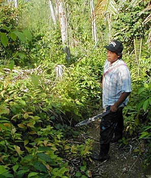 Luis, machete in hand, leads the way